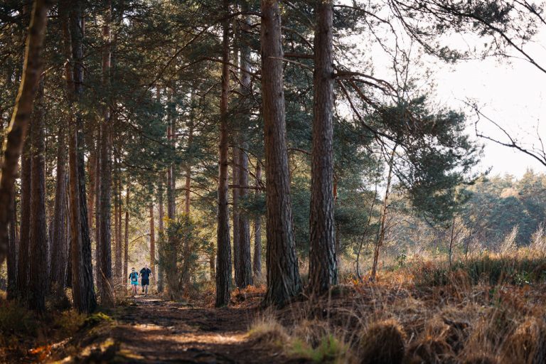 running in the woods