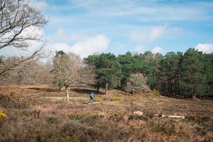 Final New Forest event information now available