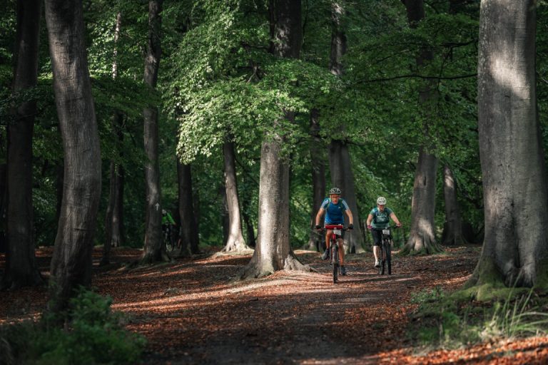 Mountain biking