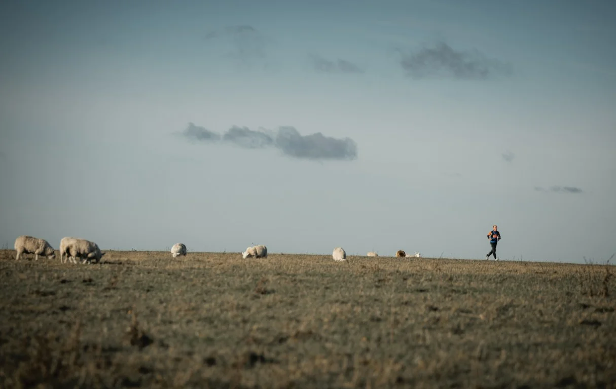 Non stop racing Non stop racing