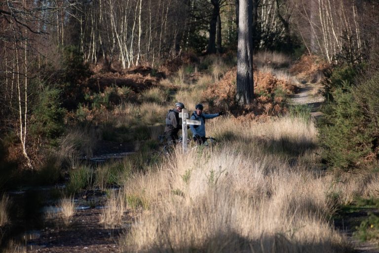 South Downs Checkpoint