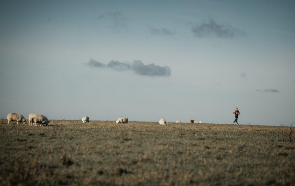 South Downs Running