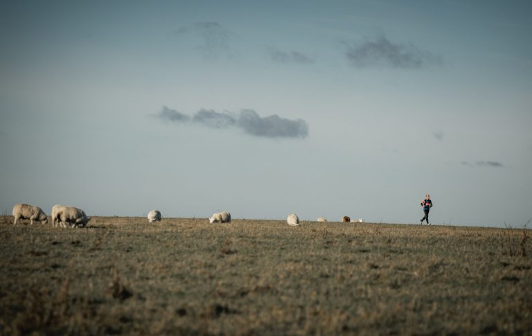 South Downs Running