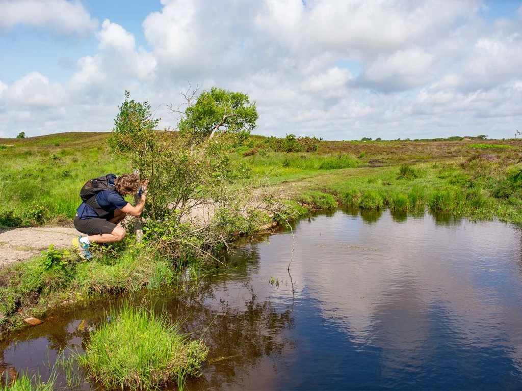 visiting checkpoints visiting checkpoints