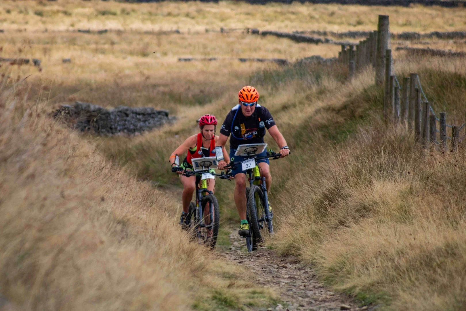 MTB